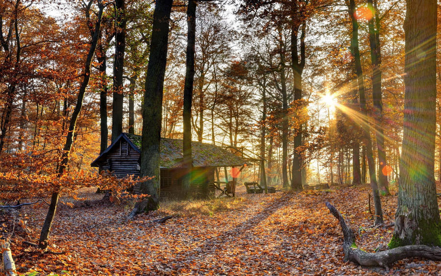 October Autumn Forest House Wallpaper