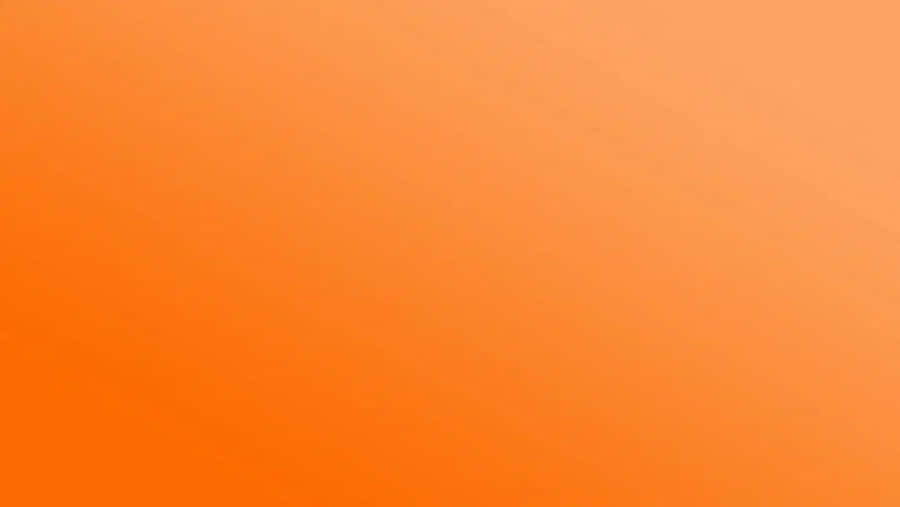 Orange Is The New Black Wallpaper