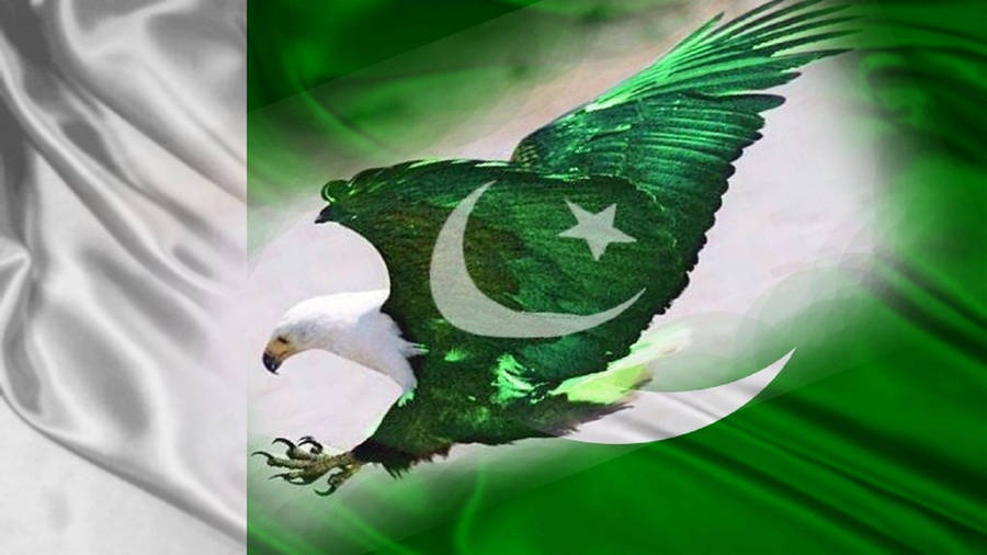 flag of pakistan #1080P #wallpaper #hdwallpaper #desktop | Pakistan flag  wallpaper, Pakistani flag, Pakistan flag