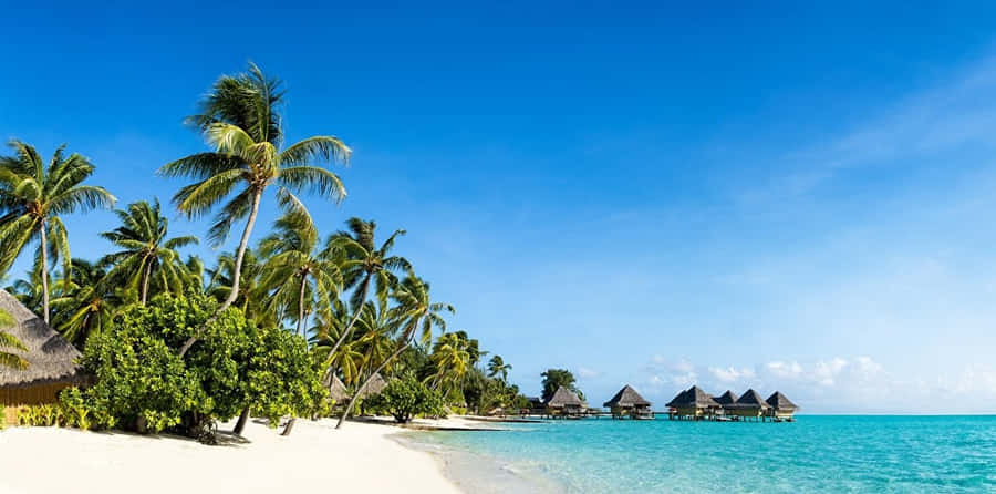 Palm Beach Pittsburgh To Bora Bora Wallpaper