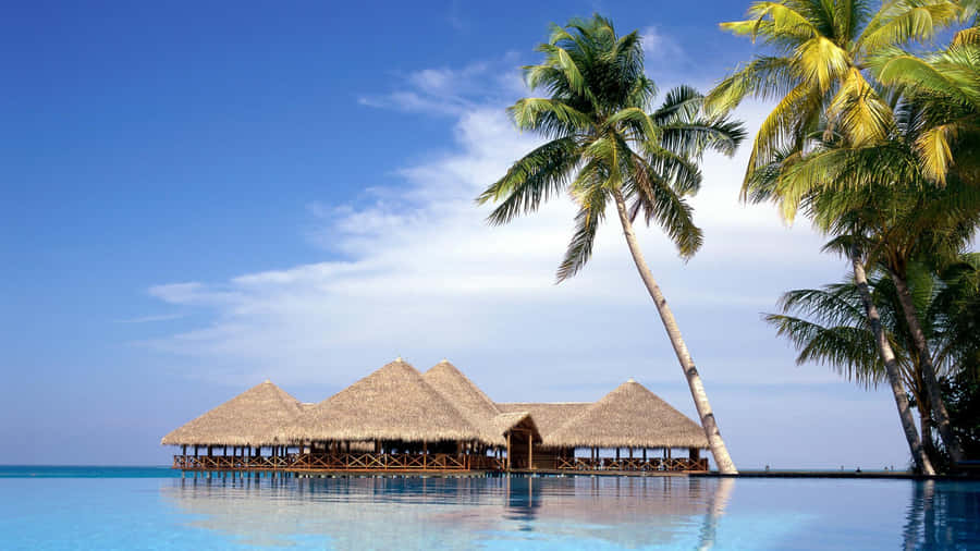 Palm Tree Beach Bamboo Hut Wallpaper