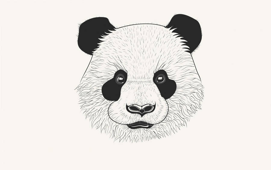 Panda head drawing wallpaper