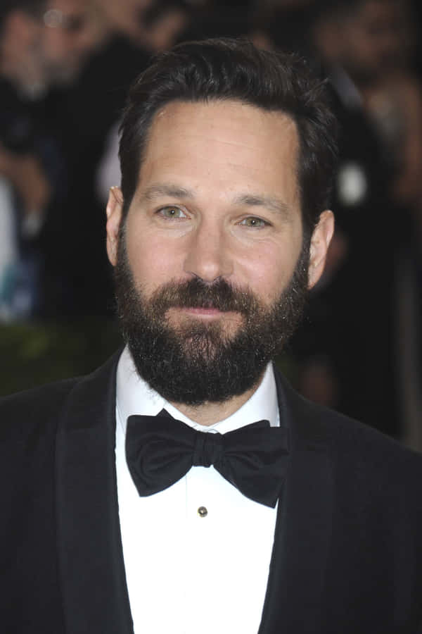 Download free Paul Rudd In A Suit Wallpaper - MrWallpaper.com