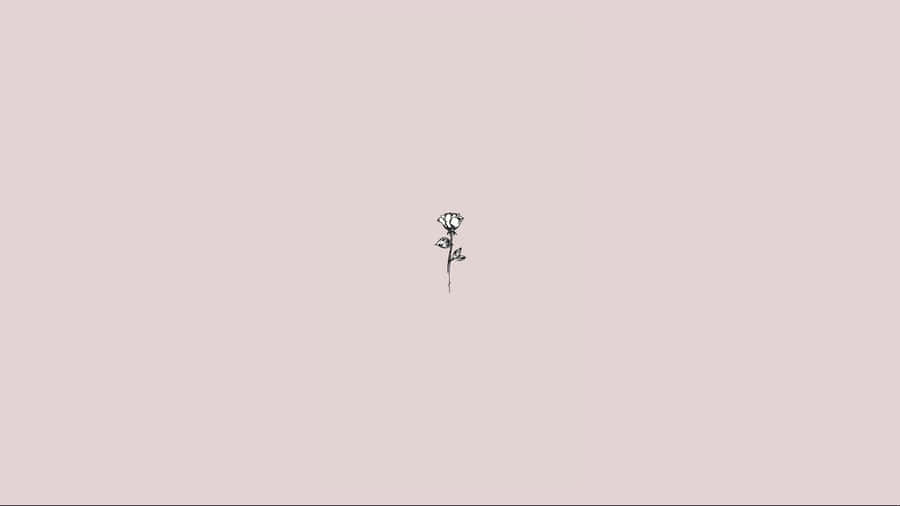 Pc Designed To Honor Modern And Simple Aesthetic Wallpaper