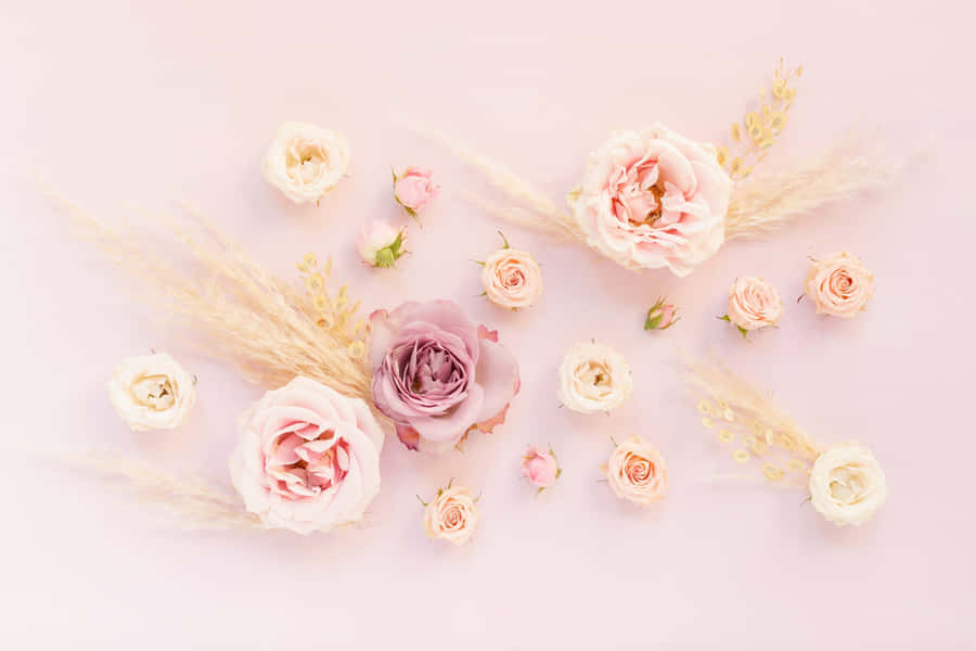 Perfect Desktop Wallpaper For A Beautiful Spring Day! Wallpaper
