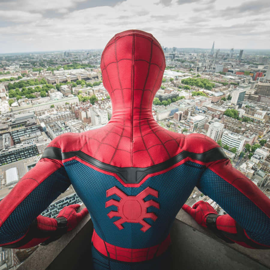 Peter Parker In Spider-man Homecoming Wallpaper