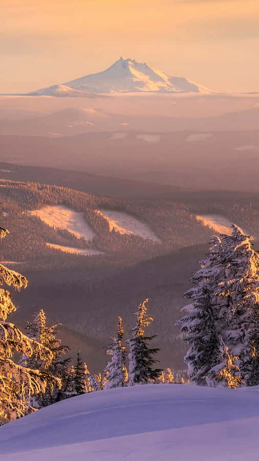 Photo Feast Your Eyes On The Magnificent Winter Nature Scenery Wallpaper