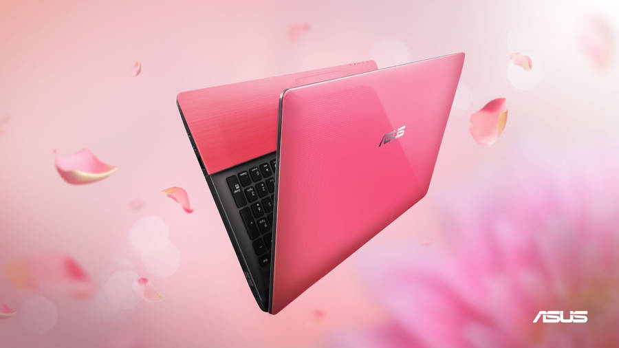 Pink Asus Laptop Wallpaper