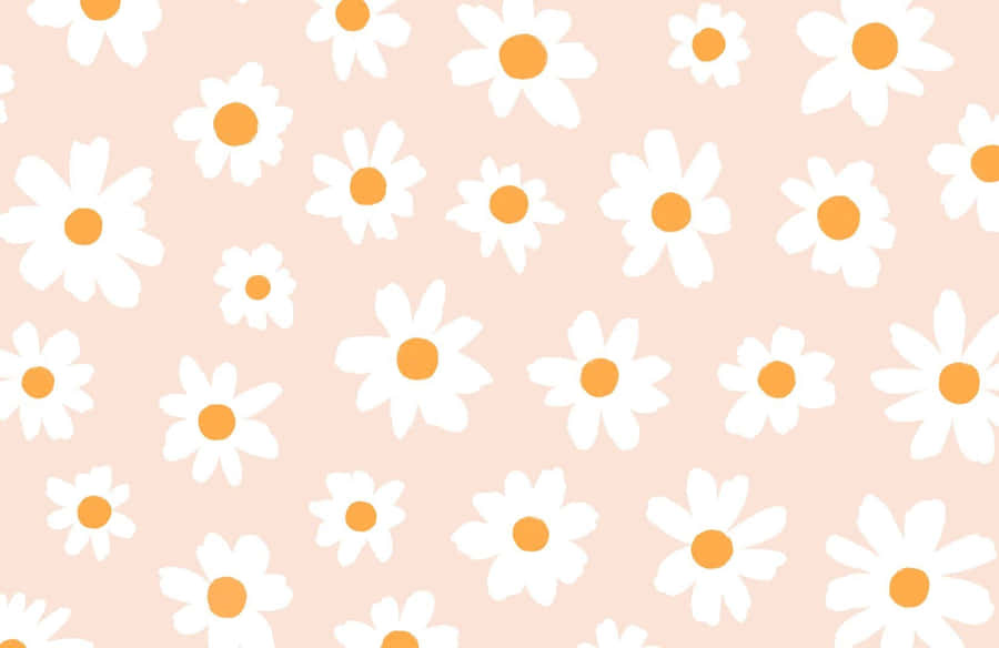 Pink Daisy Aesthetic Computer Wallpaper