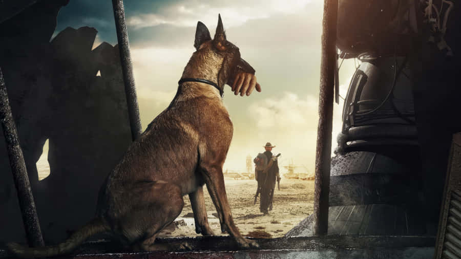 Post Apocalyptic Companion Dogand Survivor Wallpaper