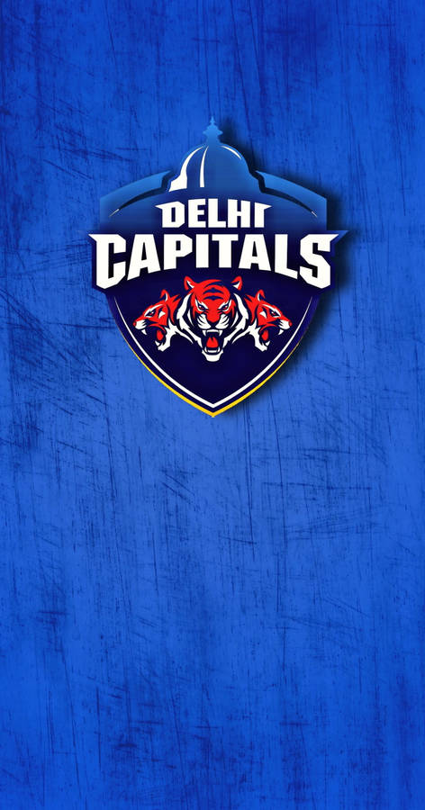 Washington Capitals Projects :: Photos, videos, logos, illustrations and  branding :: Behance