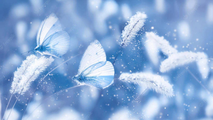 Pretty Blue Butterflies On Wild Grass Wallpaper