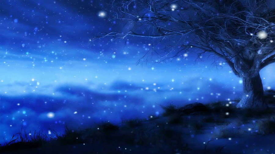 Pretty Blue During Snowy Midnight Wallpaper