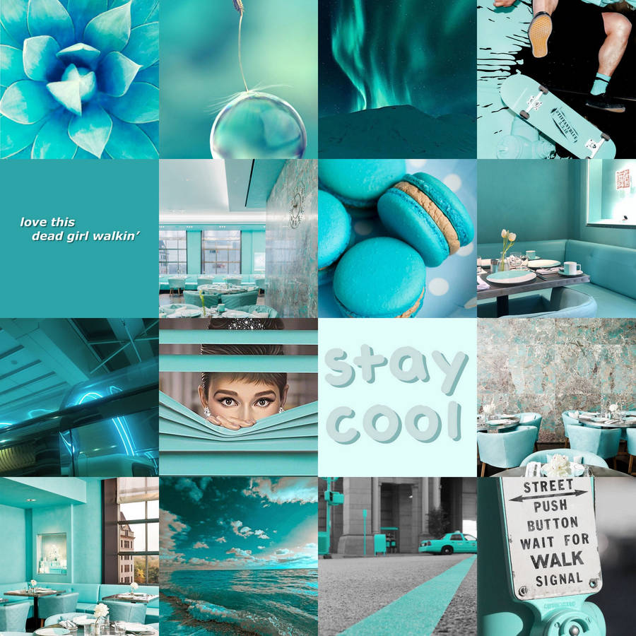 Download free Pretty Photo Collage Aesthetic Teal Wallpaper ...