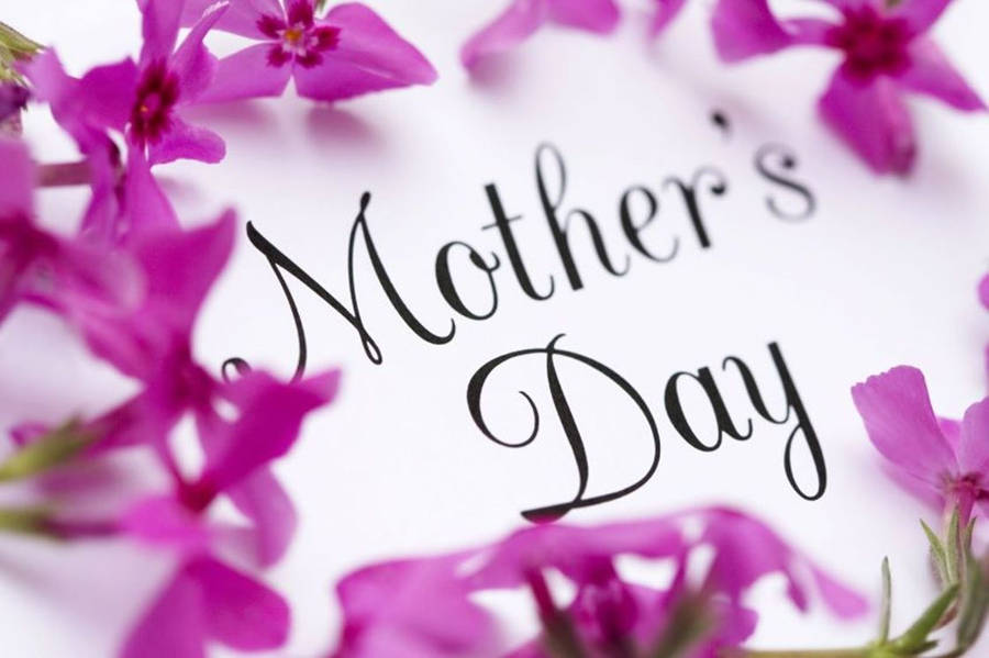 Purple Flowers For Mother's Day Wallpaper
