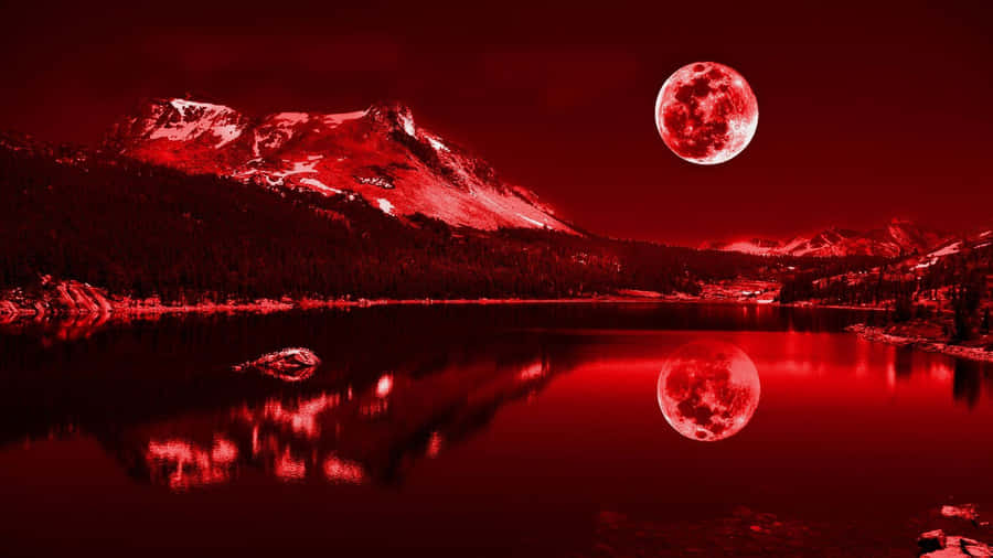 Red 1920x1080 Wallpaper Wallpaper