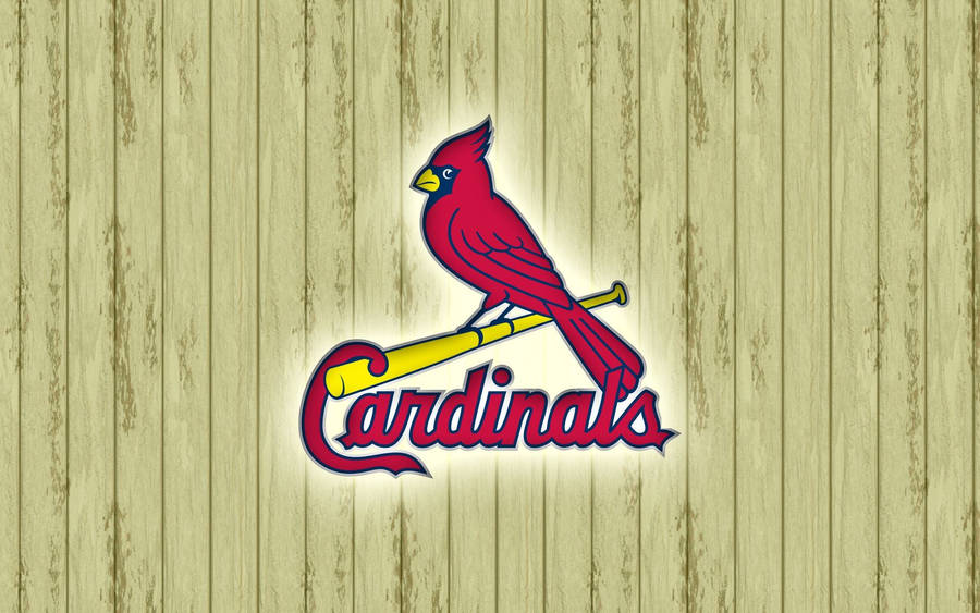 Premium Saint louis Cardinals - Baseball & Sports Background Wallpapers on  Desktop Nexus (Image 85967)