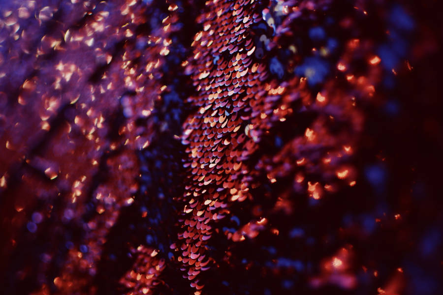Red Glitter Decoration Wallpaper