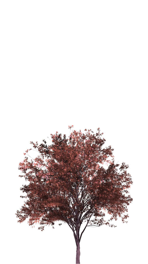 Red Tree In The Forest Wallpaper