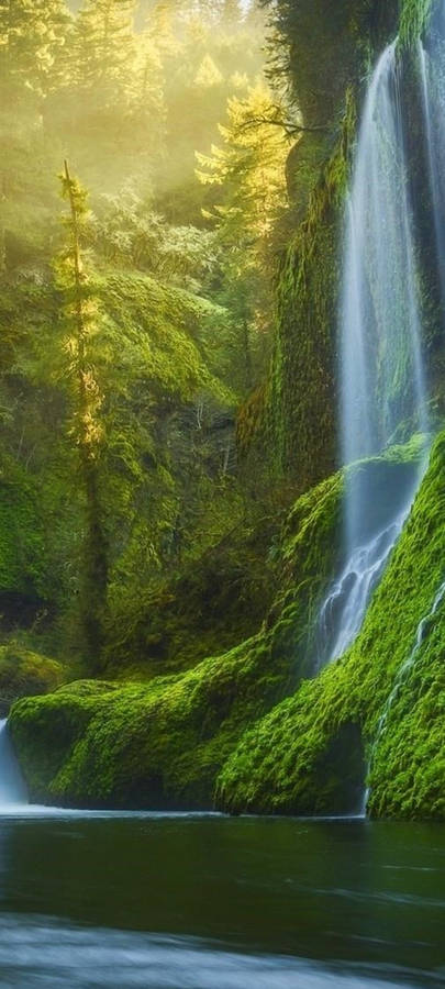 Download free Redmi Note 10 Forest Waterfall Wallpaper - MrWallpaper.com