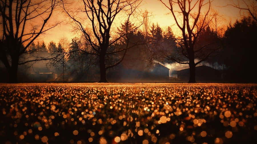 Reflecting The Beauty Of The Season By Autumn-tinged Macbook Wallpaper