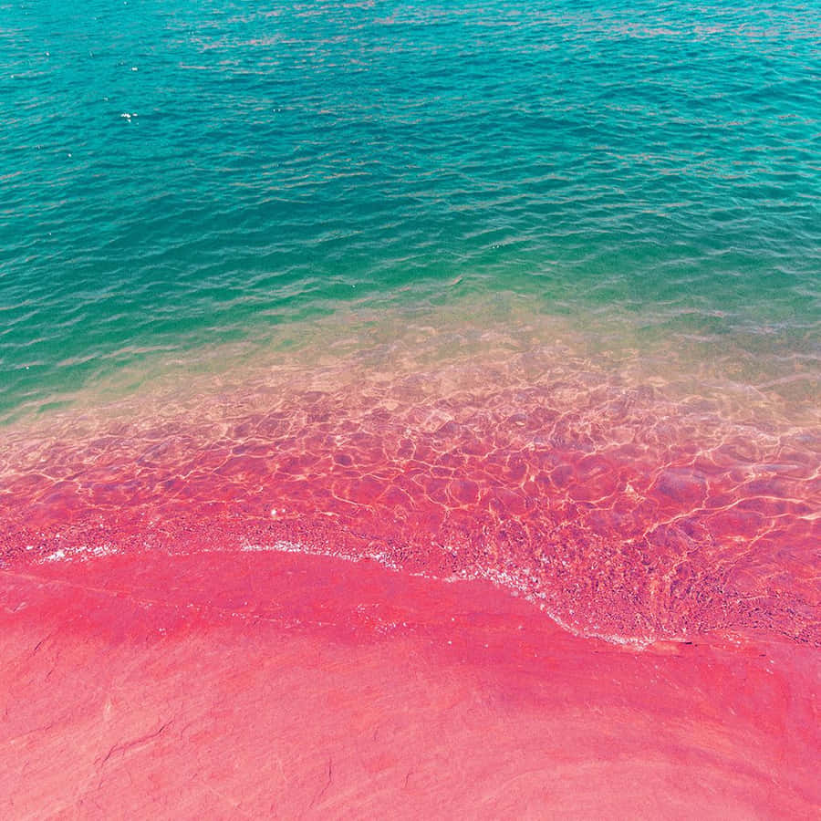 Relaxing During The Summer At The Beach With Your Phone. Wallpaper