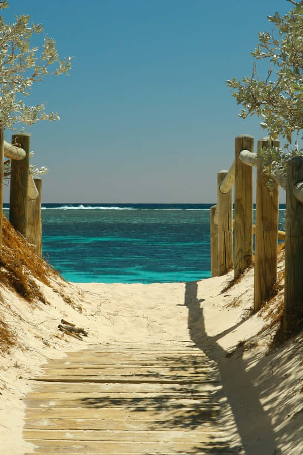 Relaxing On The Beach With Your Favorite Technology Wallpaper