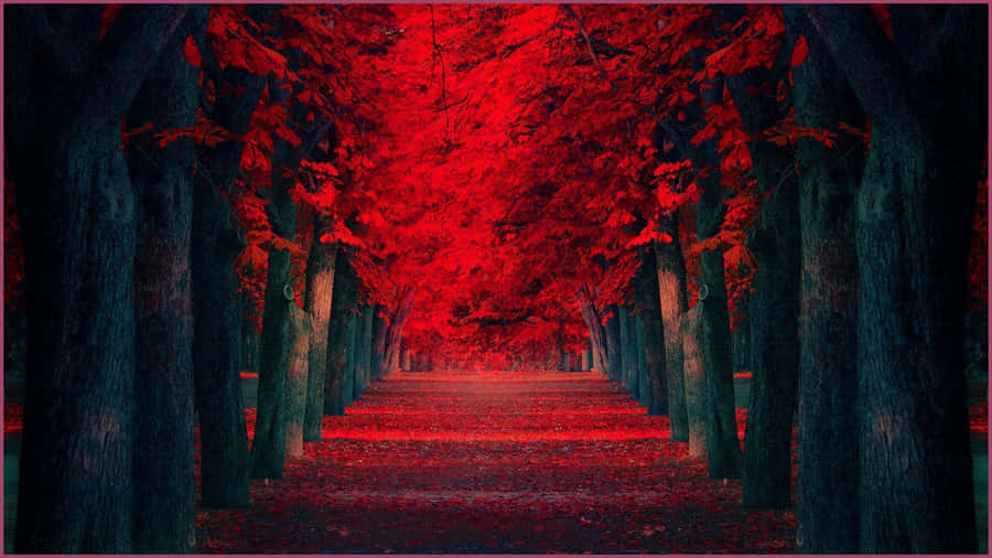 Rich And Vibrant Red 1920x1080 Wallpaper Wallpaper