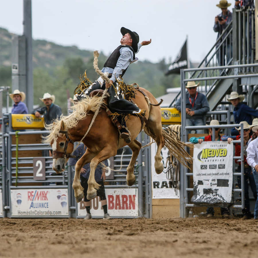 Rider In Team Roping Wallpaper