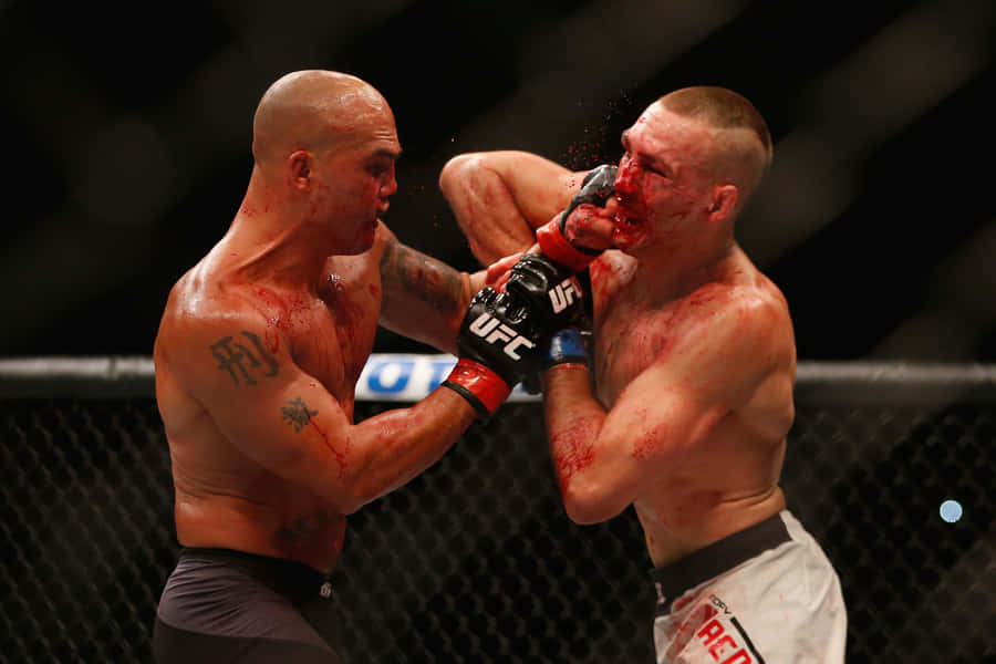 Rory Macdonald Bloody Fight With Robbie Wallpaper