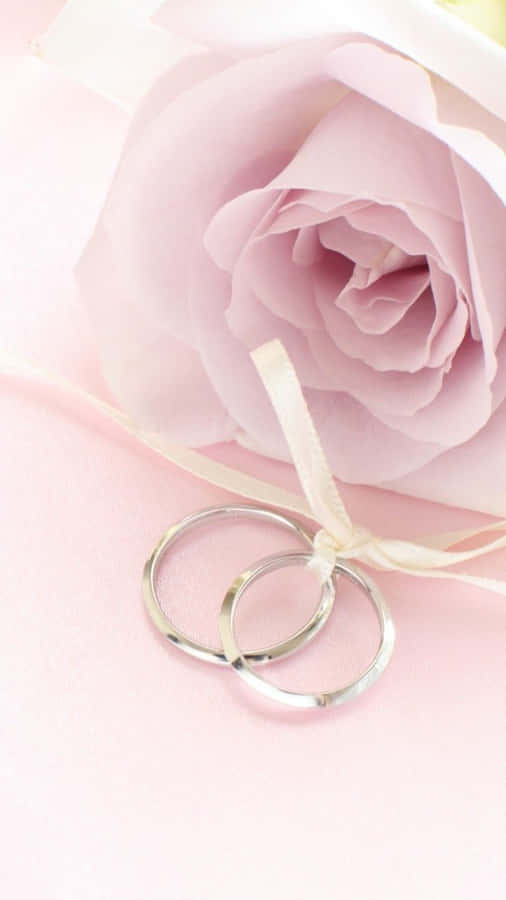 Rose Gold Iphone 5 Flower Photography Wallpaper