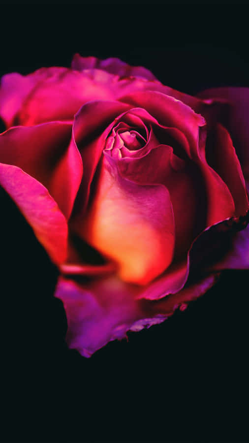 Rose Mobile The Ultimate Way To Stay Connected Wallpaper