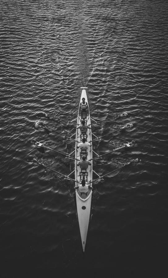 HD wallpaper: silhouette of person riding on boats, oarsmanship, rowing,  sport | Wallpaper Flare