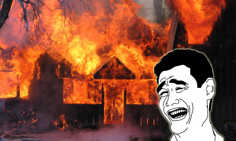 Save The House, Not The Memes Wallpaper