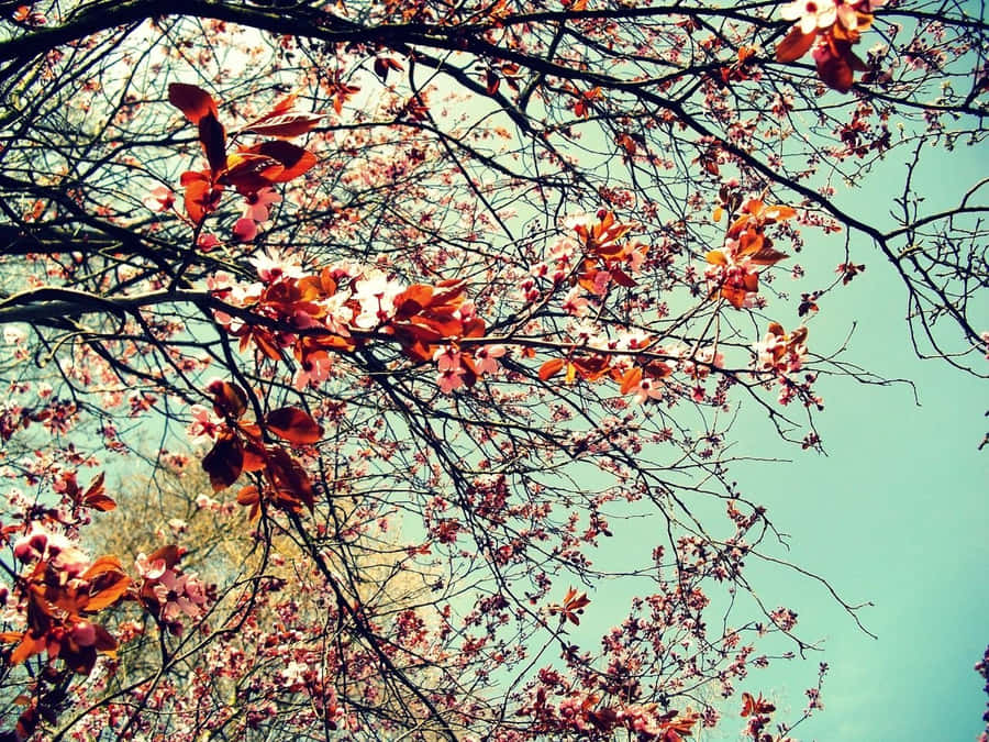 Serene Fall Harvest - A Stunning Display Of Autumn Wallpaper