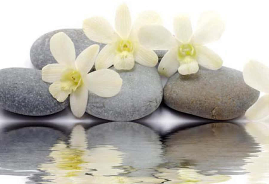 Serene Zen Desktop Background Wallpaper