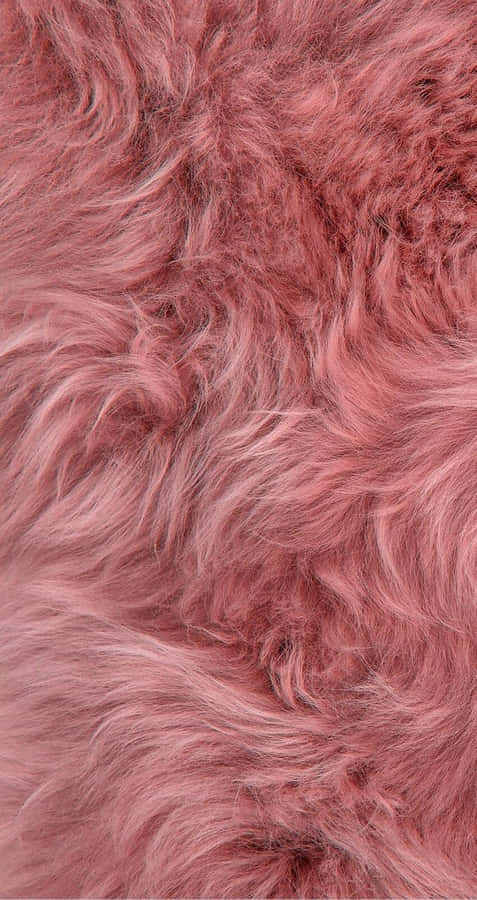 Shades Of Rose Gold Color Wallpaper
