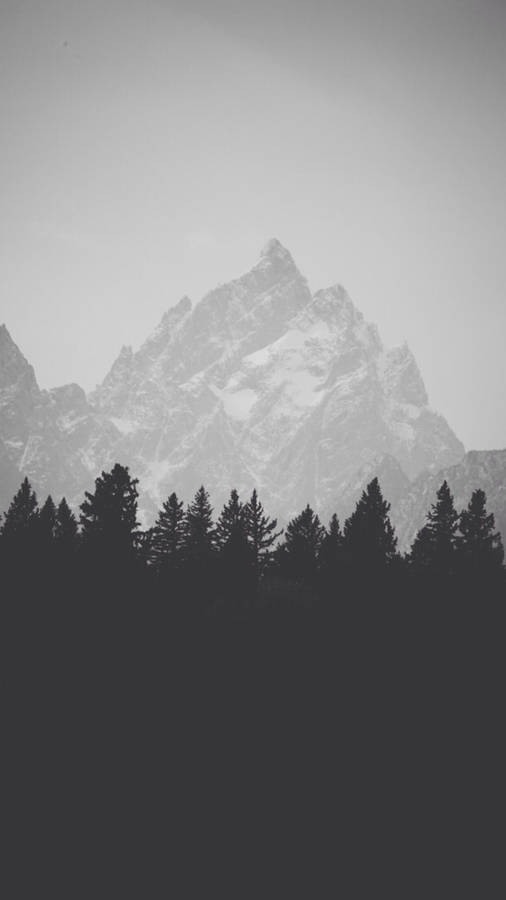 Simple Phone Forest And Mountain Wallpaper