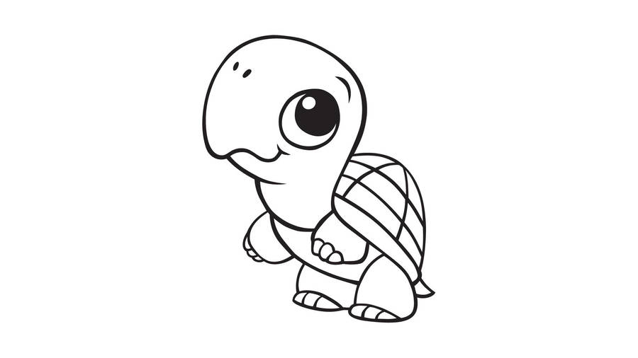 How to Draw a Cute Turtle - YouTube