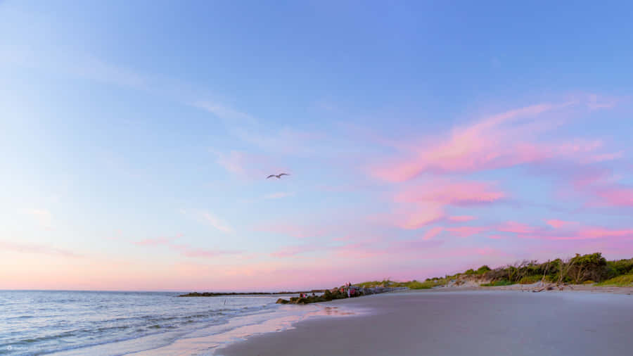 Skies Beach Dual Monitor Wallpaper