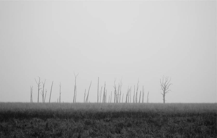 Sleek And Sophisticated Black And Grey Iphone Wallpaper