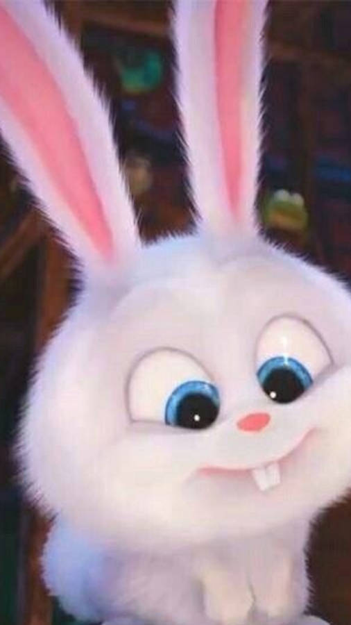 Pin by Linda Jacobs on Musik | Secret life of pets, Snowball rabbit, Rabbit  wallpaper