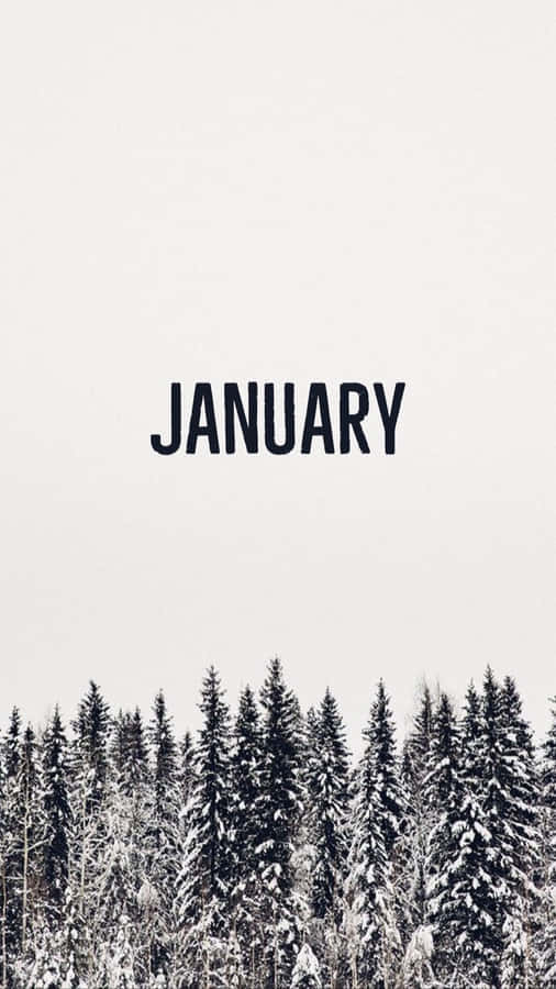 Snowy Pine Tree January Phone Wallpaper