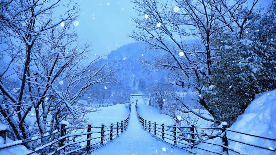 Snowy Winter Path For Laptop Wallpaper