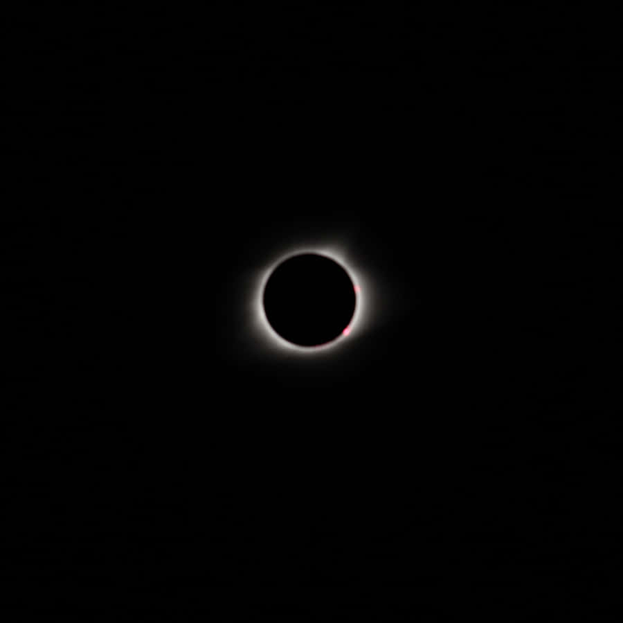 Solar Eclipse Notch, oneplus, orbit, space, stars, sun, HD phone wallpaper  | Peakpx