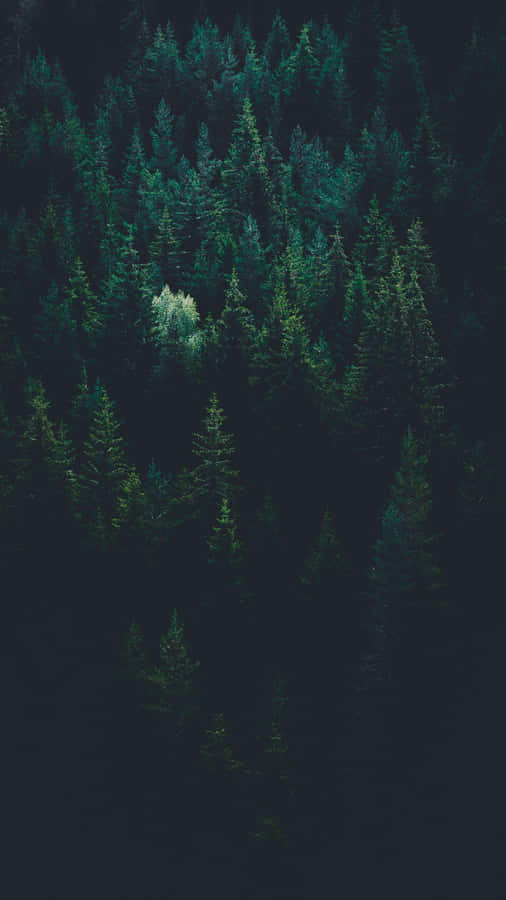 Special Edition Of The Dark Iphone From Apple Wallpaper