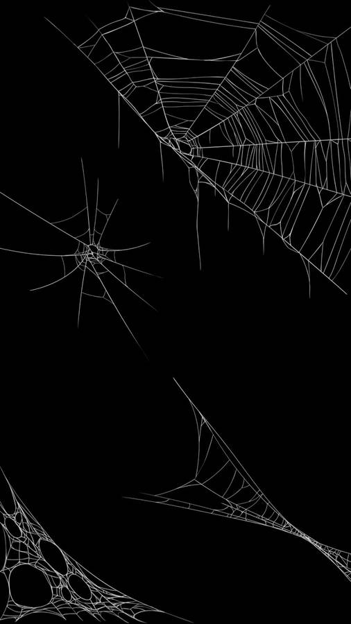 Spider Webs On Black Background Wallpaper