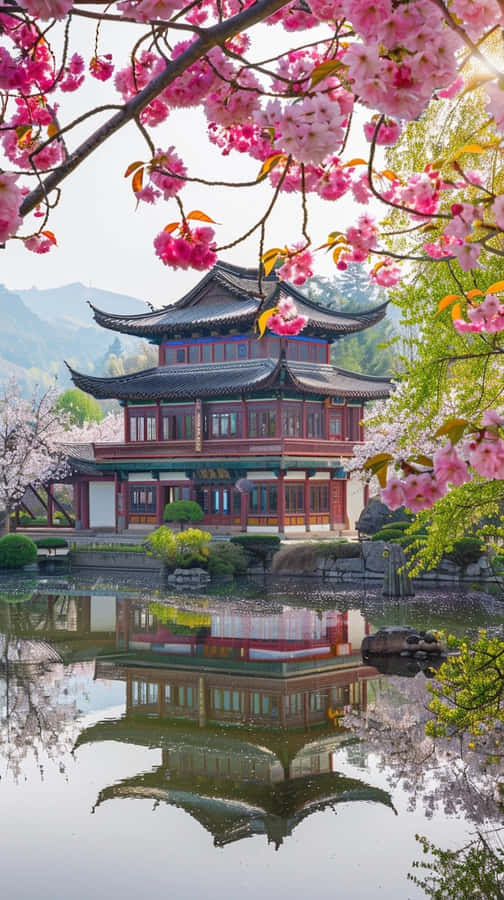 Springtime_ Blossoms_at_ Traditional_ Asian_ Pavilion.jpg Wallpaper