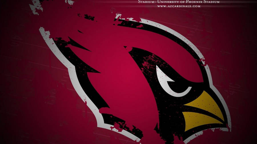 Arizona cardinals 1080P, 2K, 4K, 5K HD wallpapers free download | Wallpaper  Flare