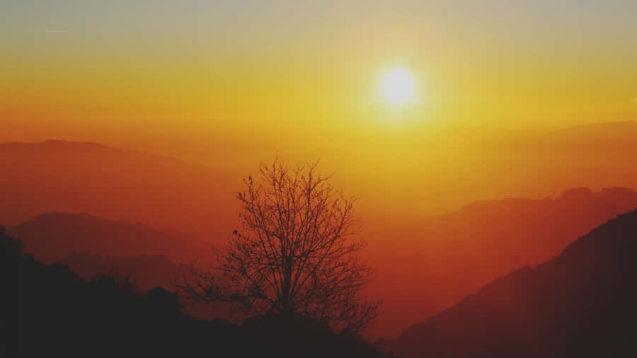 Start The Day With A Beautiful View Of The Sunrise From Your Desktop. Wallpaper